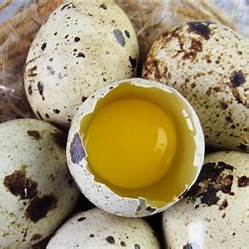 Close-up of quail eggs
